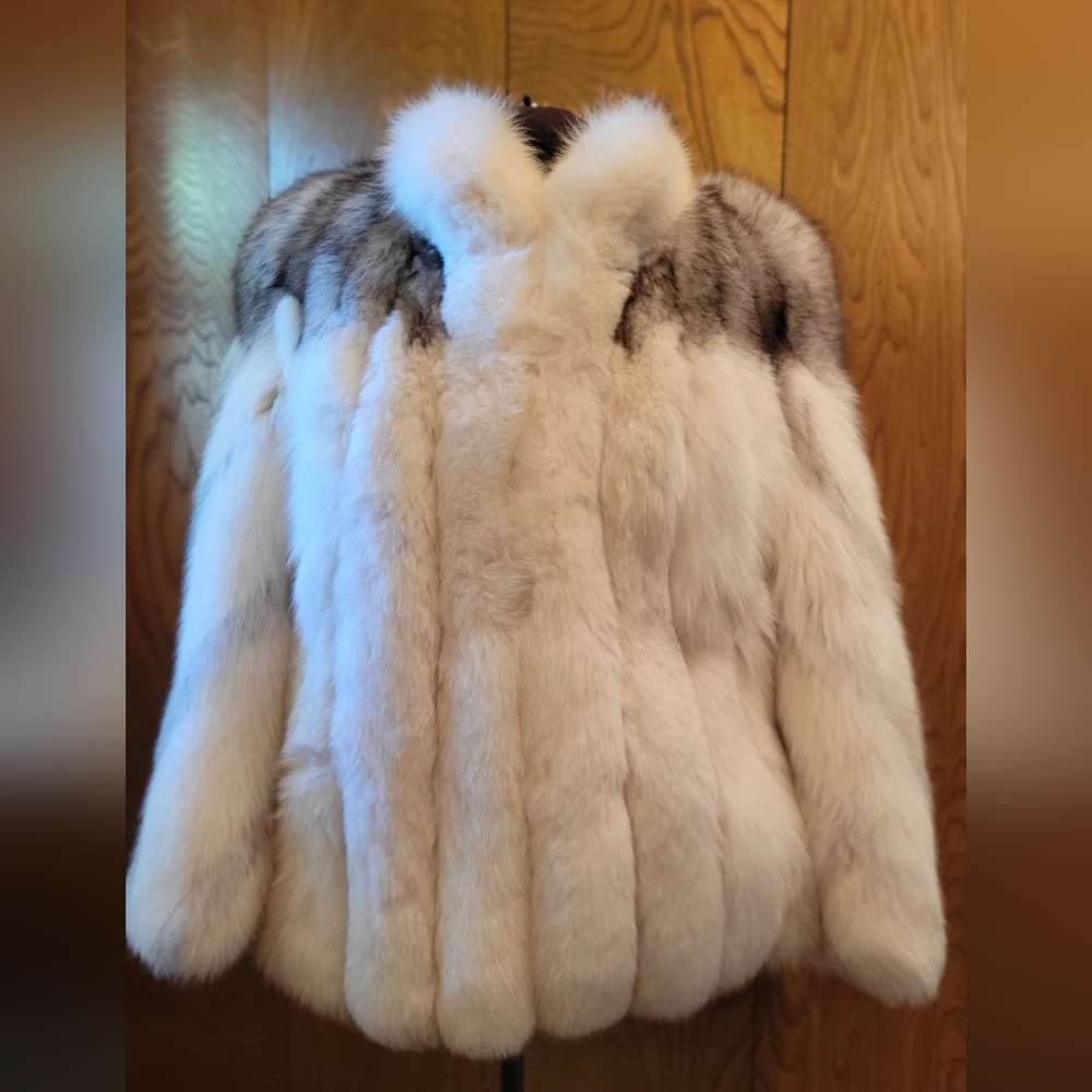SAGA Fox - Shadow Blue/Gray Coat